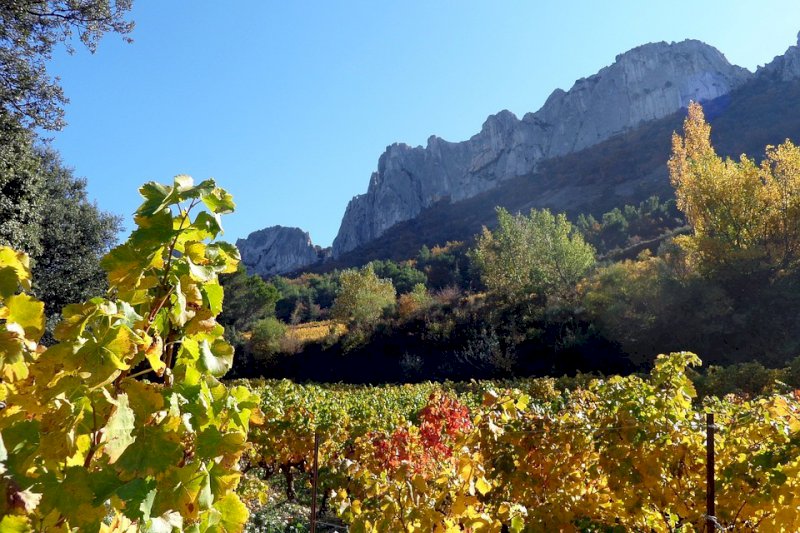 Dentelles de Montmirail