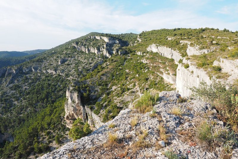 Le Vaucluse