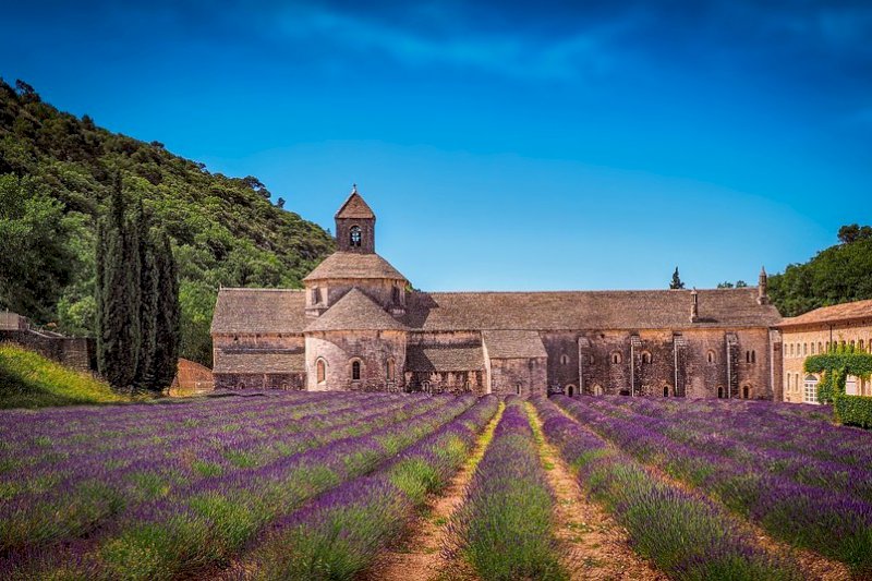 Abbaye de senanque